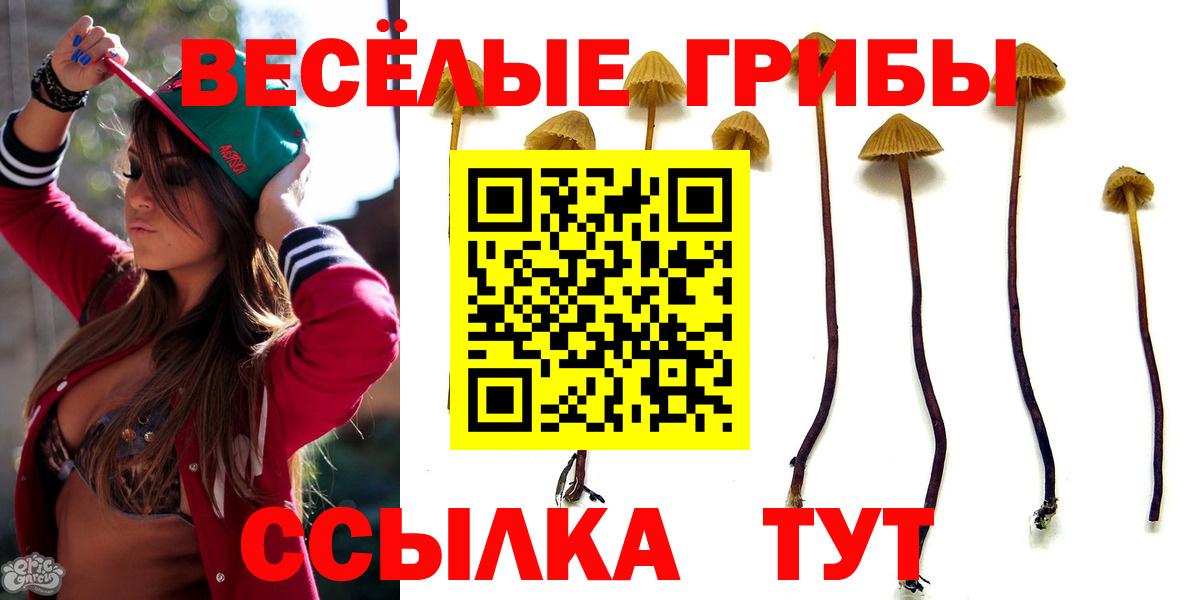 закладки  Вход с VPN  Полевской  Псилоцибиновые грибы Psilocybe 
